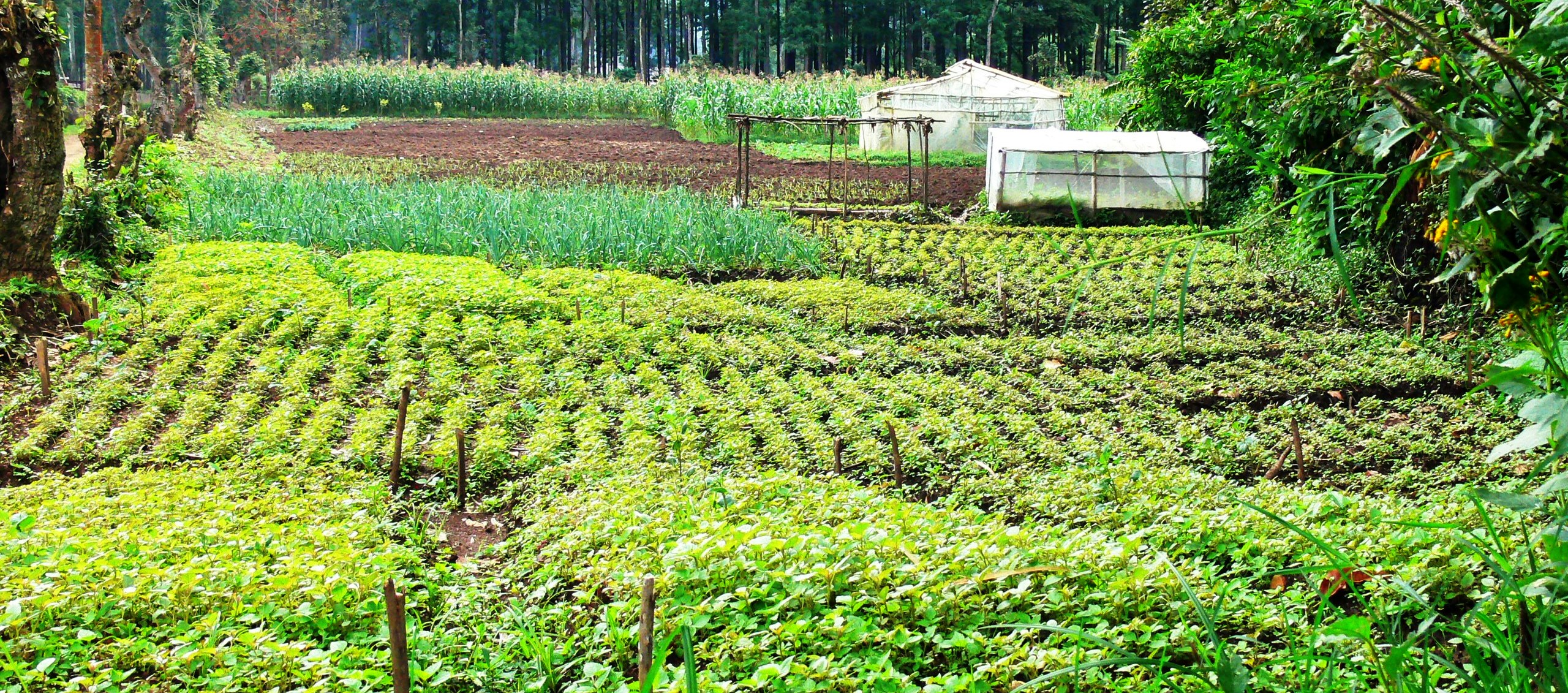 les étudiant en pêche