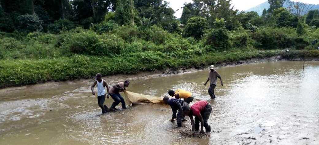 les étudiant en pêche